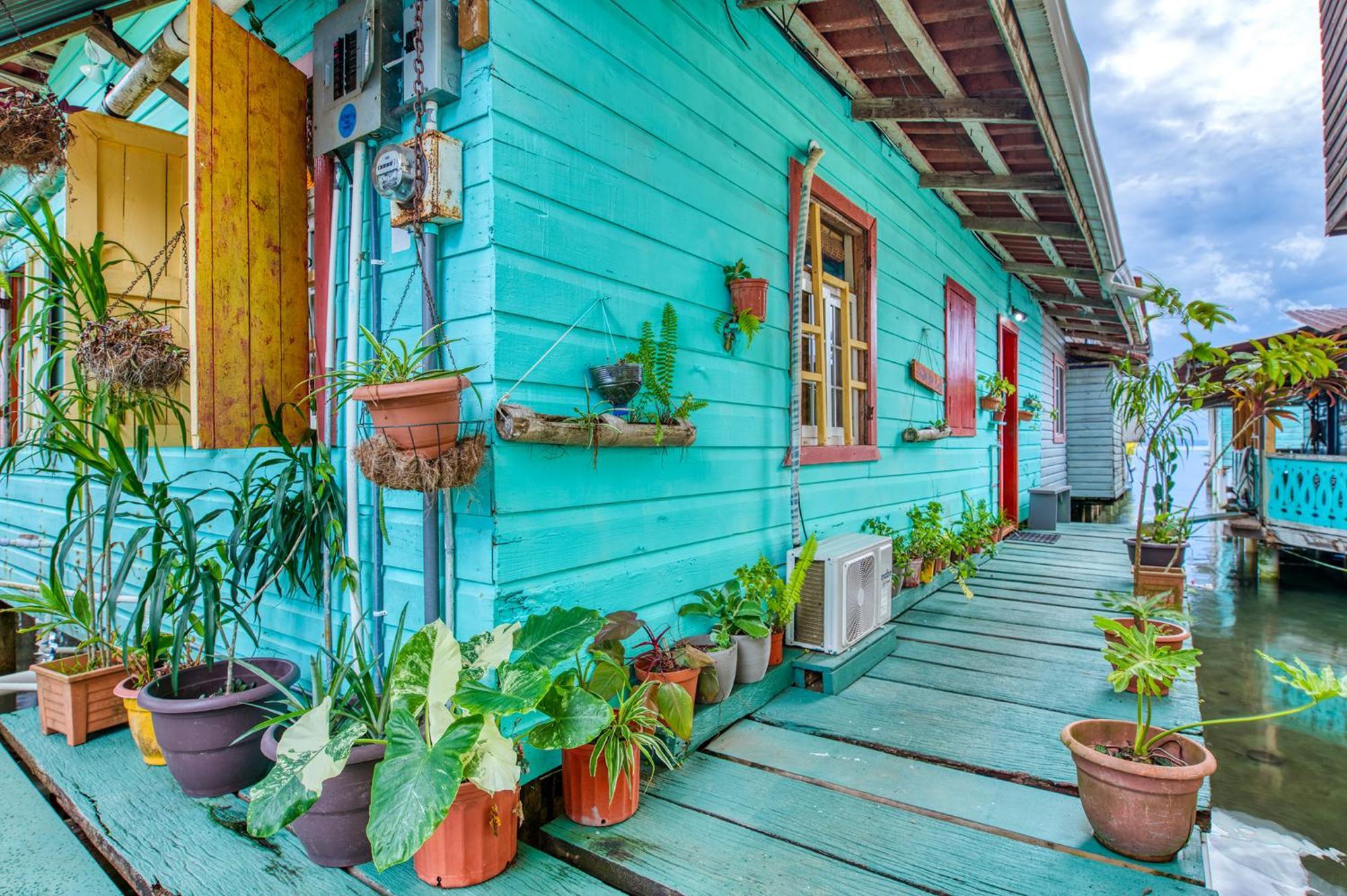بوكاس تاون Saigon Bay Bed & Breakfast المظهر الخارجي الصورة